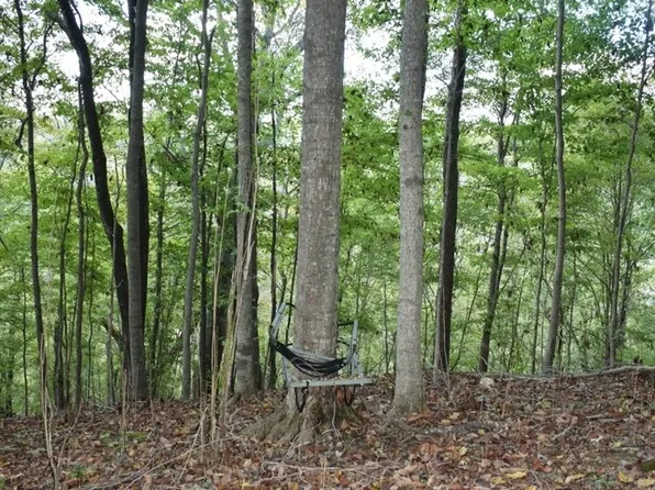 0 McBroom Branch Rd, Baxter, TN 38544