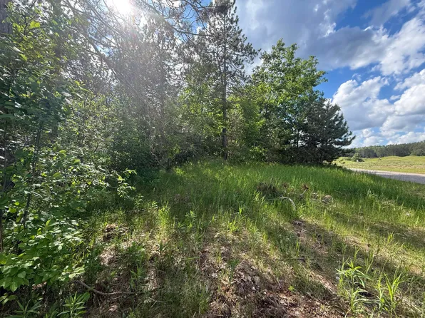 Bear Paw Trl #10, Vanderbilt, MI 49795