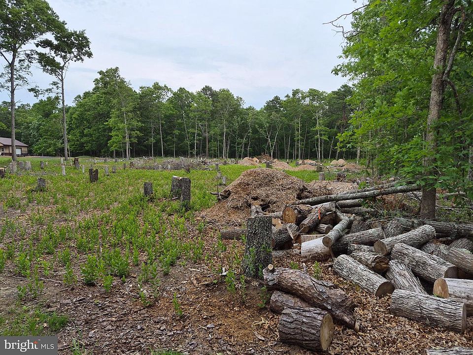 2nd image of 0 Pine St