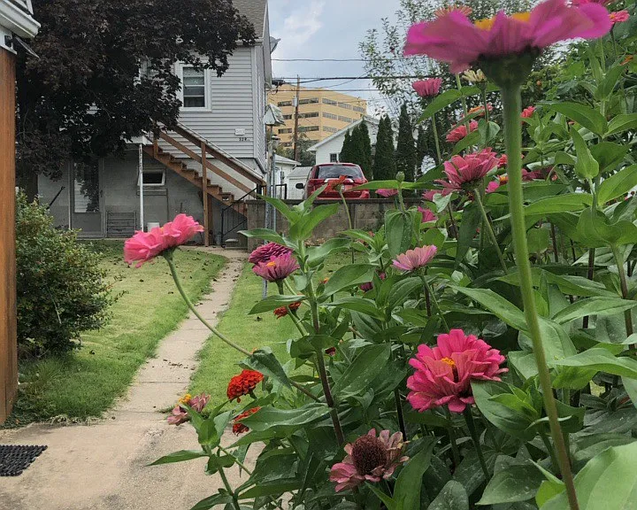 982 Cherry St #101 — Photo 7
