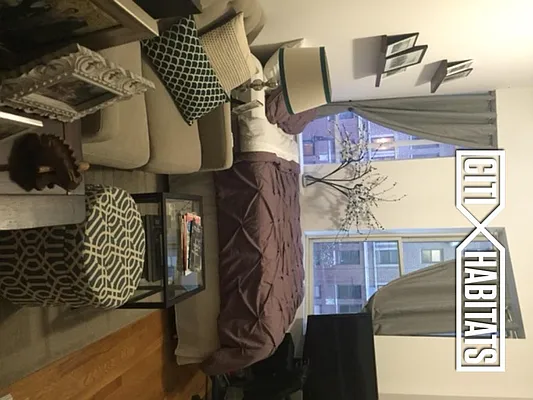 Rented by Citi Habitats | media 12