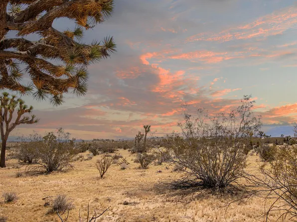 60531 Cielito Dr, Joshua Tree, CA 92252