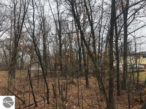 W Shore Dr #112, Weidman, MI 48893