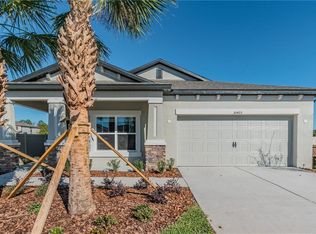 30403 Caravelle Ct, Wesley Chapel, FL 33543