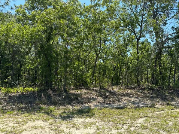 3299 N Reno Way, Beverly Hills, FL 34465