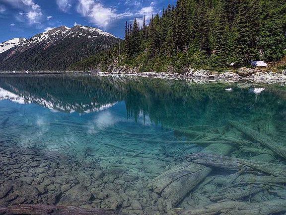 In the waters edge