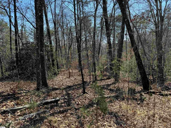 0 Old Shallowford Bridge Rd Lot 20, Sunset, SC 29685