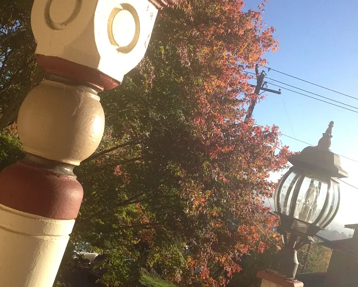 Lovely in fall too