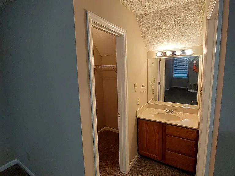 901 Chip Cove Ln — Photo 13