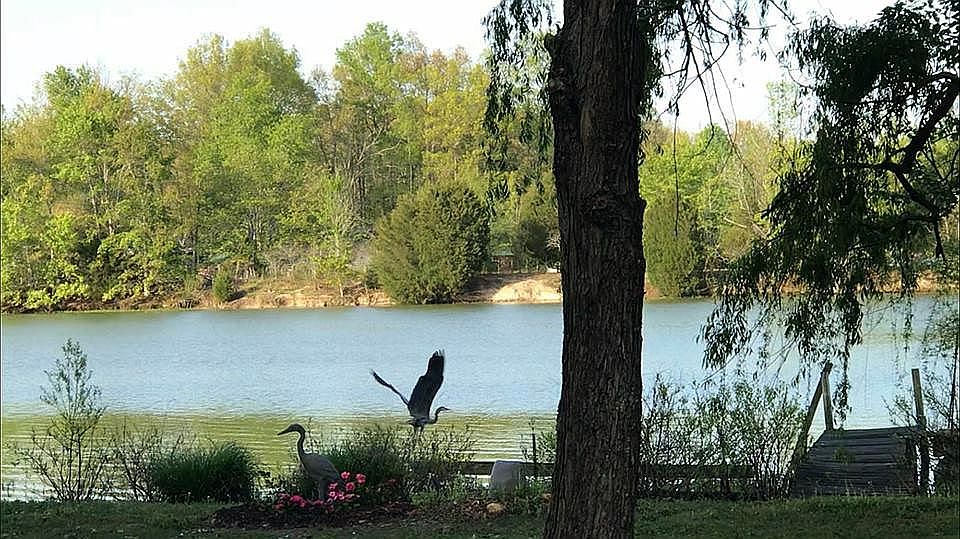 1st image of 520 Lakeshore Dr