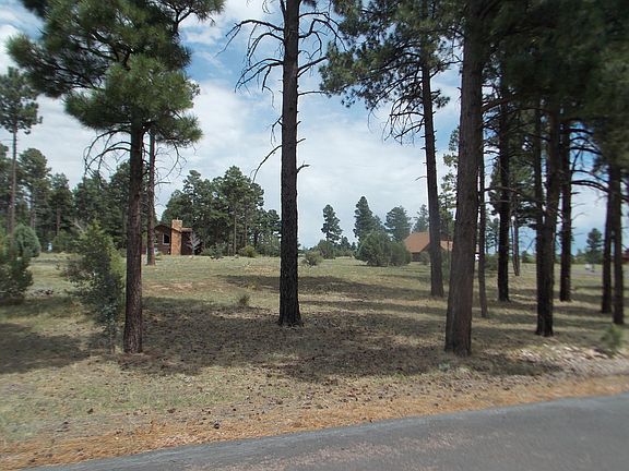 2nd image of 2242 Bear Claw Dr