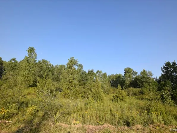 8506 Duffield Rd, Flushing, MI 48433