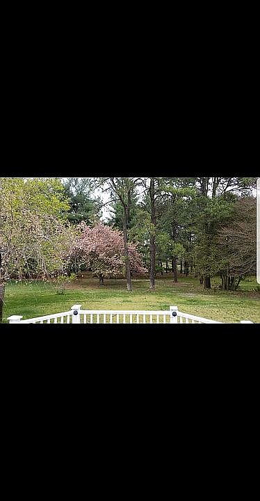Beautiful Private Backyard 