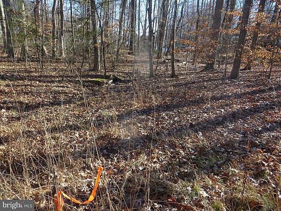 back left corner ; runoff ditch to lake