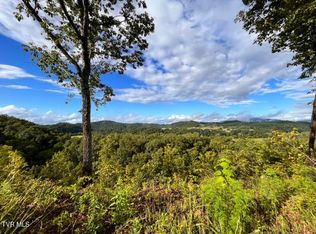 Mosier Rd, Johnson City, TN 37601