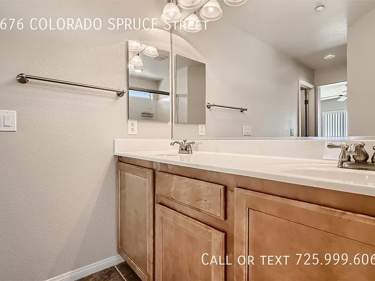 6676 Colorado Spruce St — Photo 17