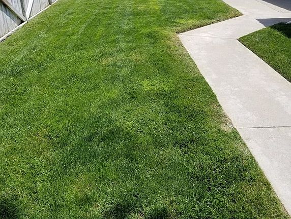 3rd image of 25704 Leticia Dr
