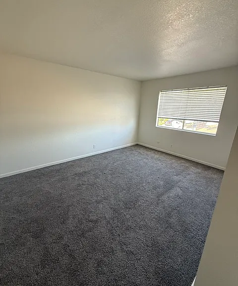 725 McKenzie Ct — Photo 17
