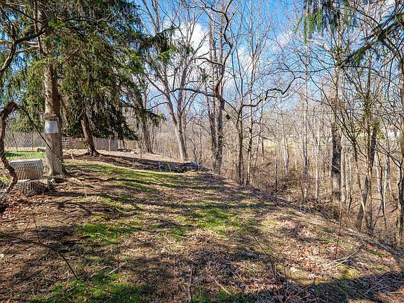 4th image of 110 Old Alleghany Cir