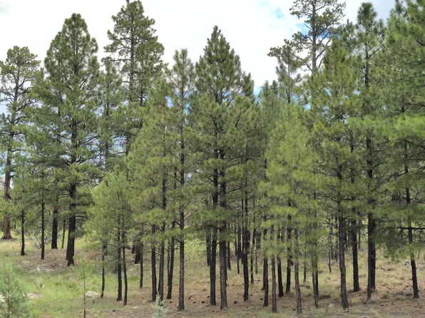 45 & 46 Katies Way, Happy Jack, AZ 86024