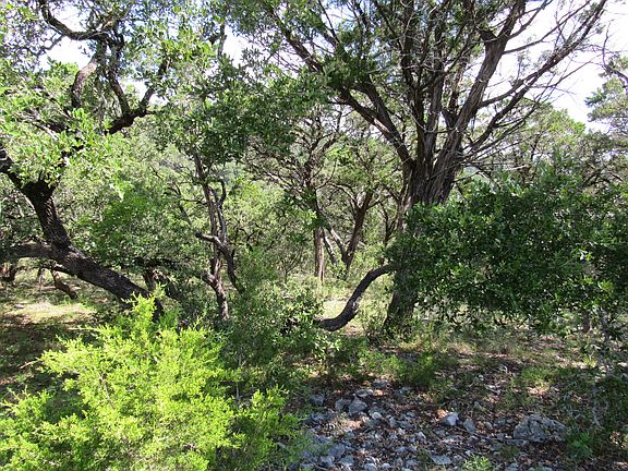 2nd image of PR 1734 Lot 113A