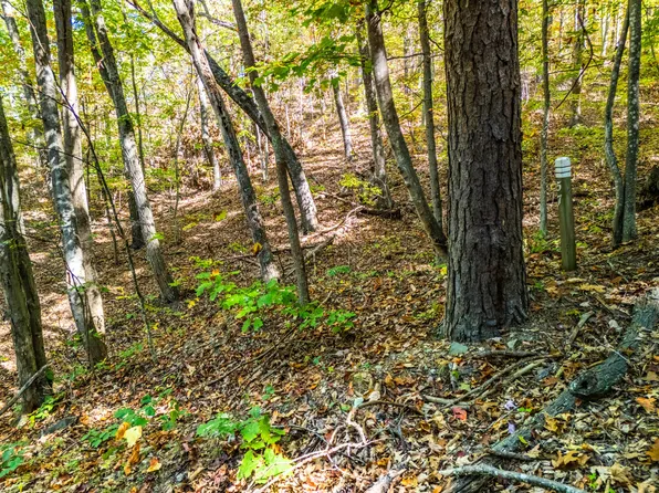 Retreat White Rock Trl Lot 57, Caldwell, WV 24925