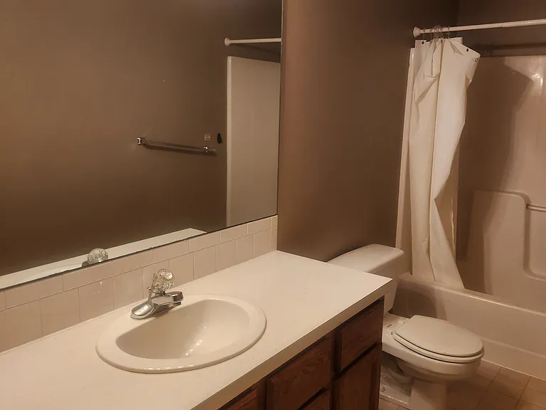 Hall bathroom