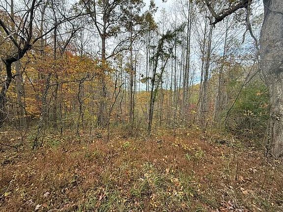 2nd image of 123 Crestmont Hales Rdg