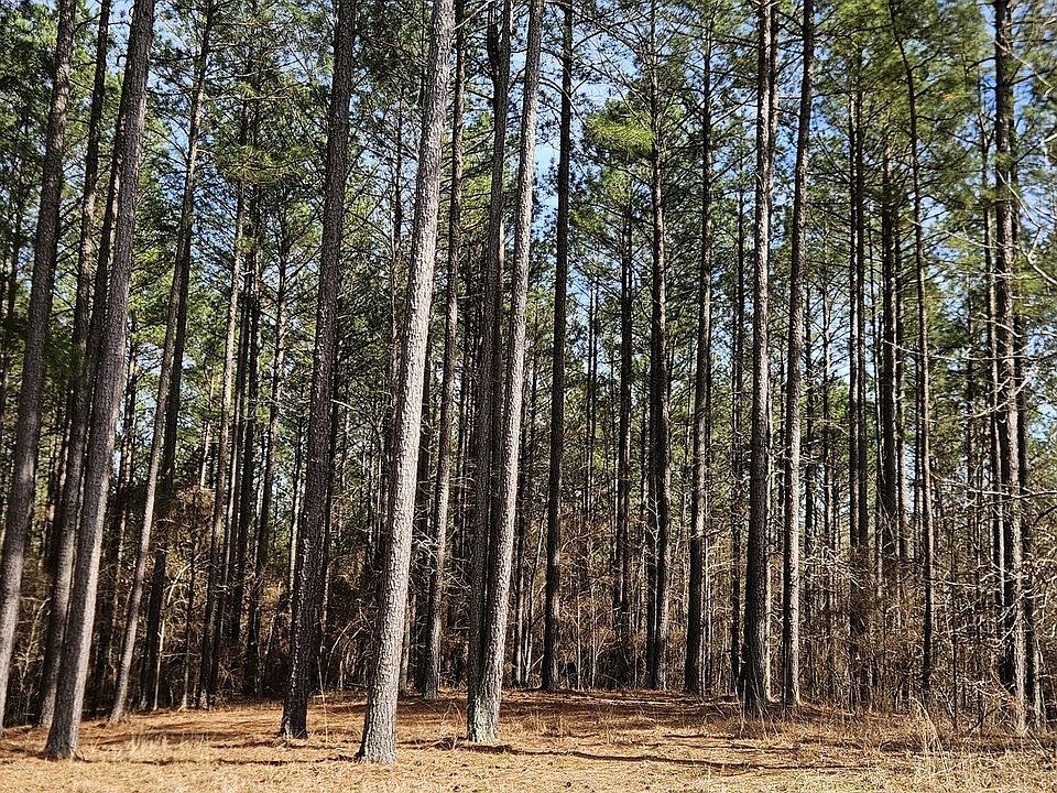 1st image of 1121 Apalachee Meadows Dr
