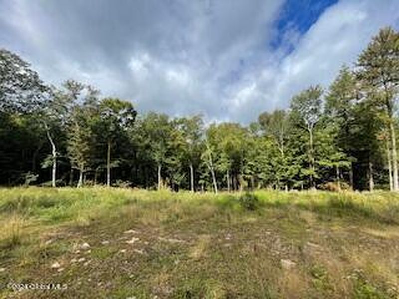 3rd image of 223 Foster Road