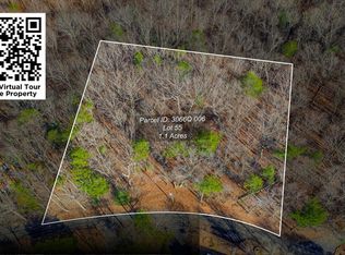 55 Spruce Dr, Ellijay, GA 30540