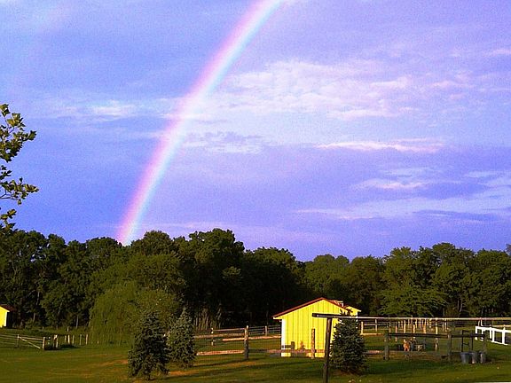 Eight Seperate Paddocks 