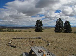 8694 Ranch Rd, Hartsel, CO 80449