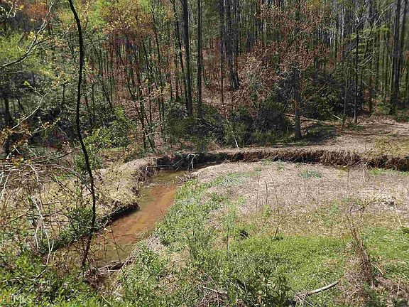 2nd image of 0 LOT Highway 76 E