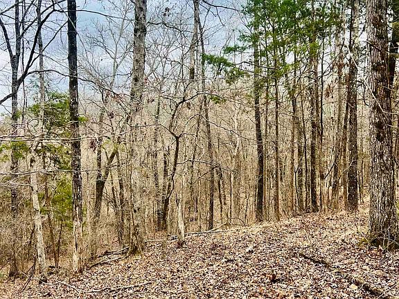 4th image of 3990 Monk House Rd