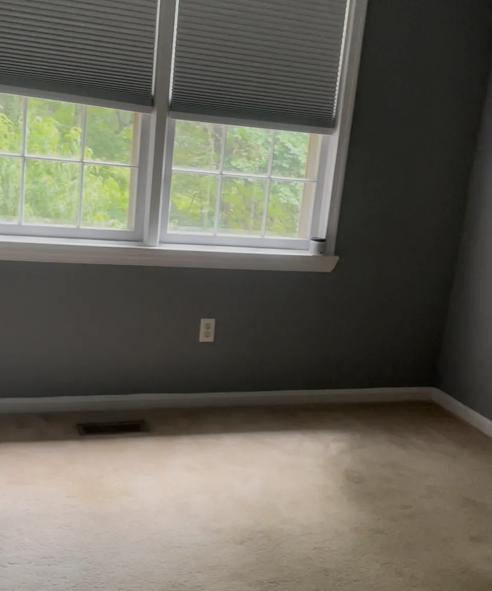 3 bed, 1360 sqft, $3,000 — Photo 3