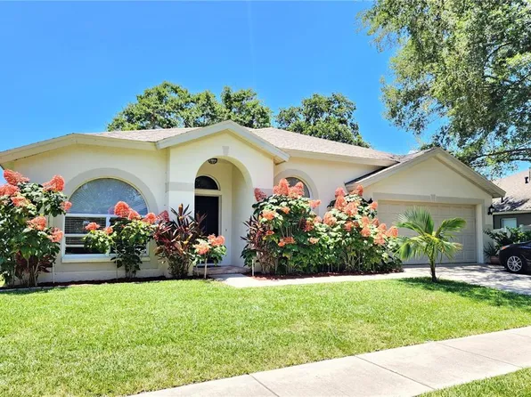 10456 Ashley Oaks Dr, Riverview, FL 33578