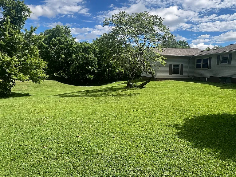 West side yard