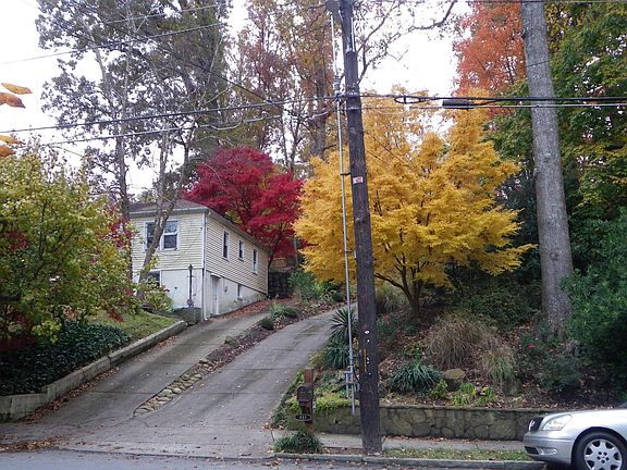 Sidewalks and lots of trees.