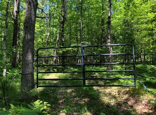 Coates Hwy, Brethren, MI 49619