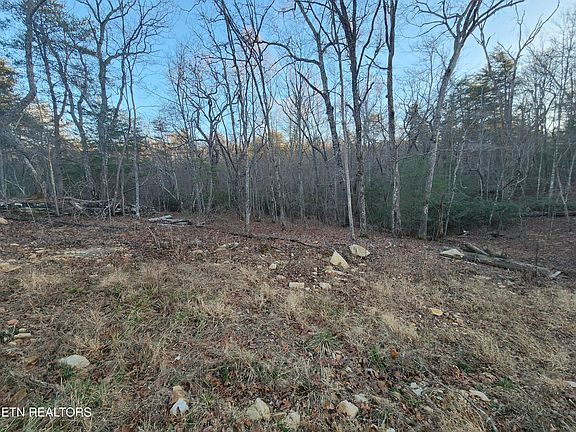 2nd image of 448 Saint George Dr