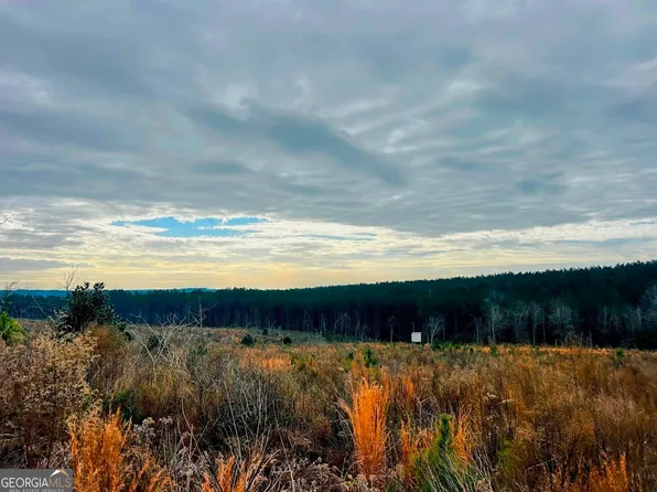 0 County Road 309 Tract A, Skipperville, AL 36374