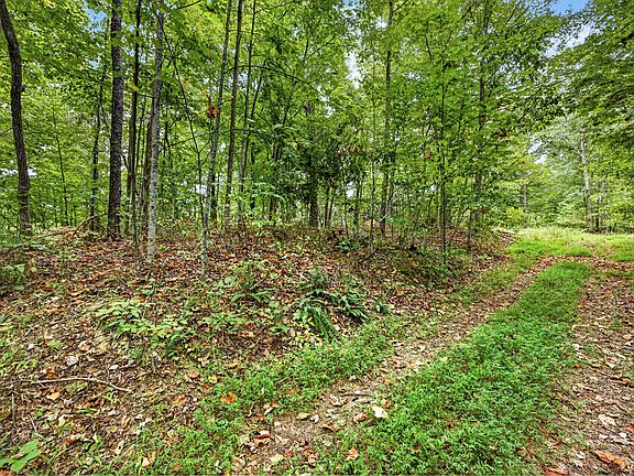 5th image of 28 Timber Ridge Ln #Phase Ii