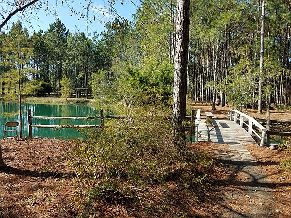 1 of 3 bridges over pond