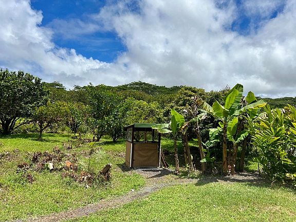 4th image of 17-929 Konomanu St Lot 32