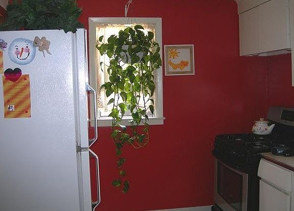4th image of 111 Alberta Dr