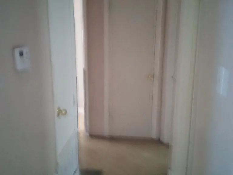 4105 Forest Oak Dr — Photo 7