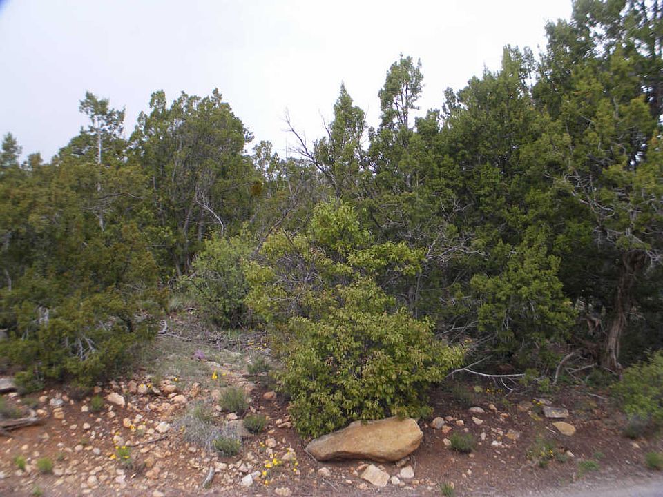 2nd image of 8 Fir Loop