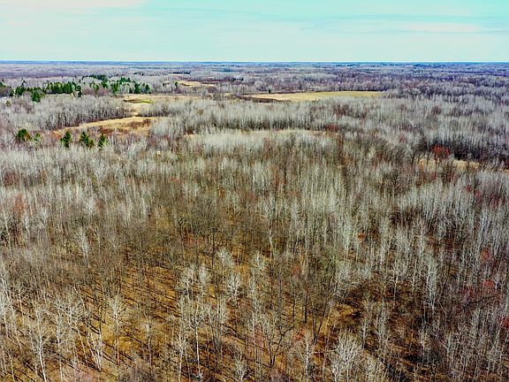 2nd image of Beaver Claw Rd