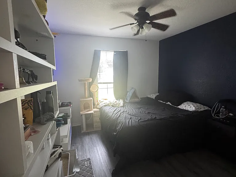 10821 Snow Pea Dr — Photo 7